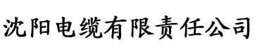 国产精品va无码免费电缆厂logo